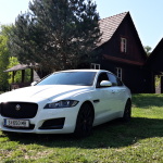 jaguar XF exterior  (1)