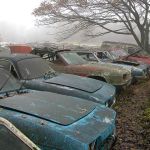 abandoned-cars-reliant-scimitar-graveyard-uk-7