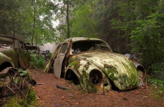 car-graveyard-chatillon-belgium