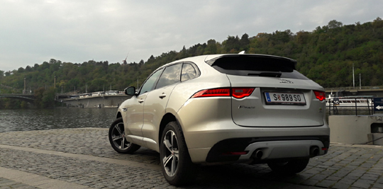 fpace1