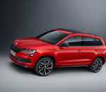 skoda_karoq_sportline_20_5b62a469e699e