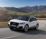 f400db2e-2019-audi-sq2-06