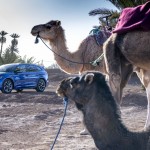 9529-skodaenyaq85xinmorocco_64ae5114